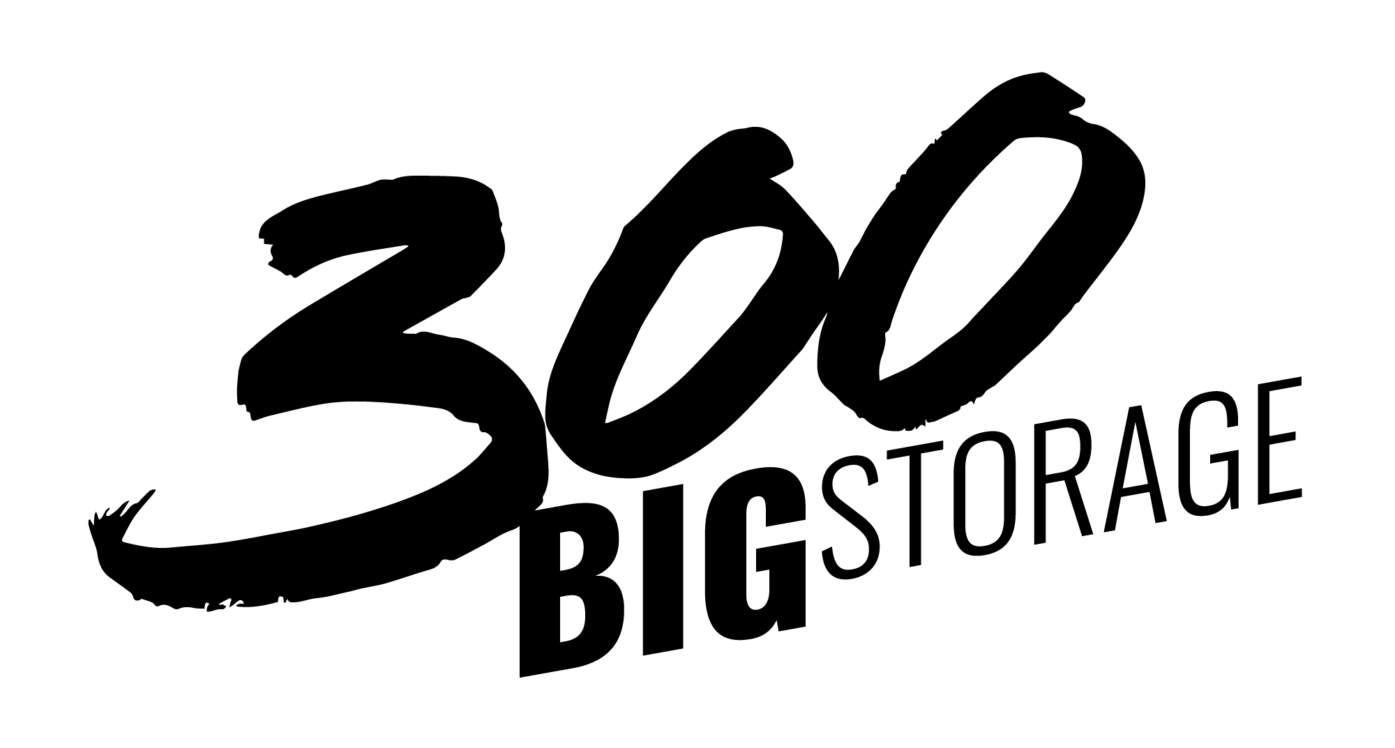 300 Big Storage